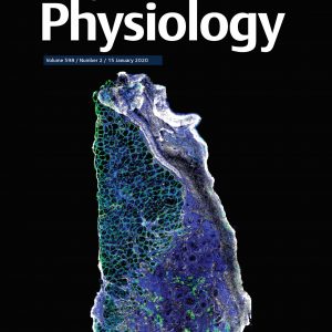 2020-the_journal_of_physiology_cover