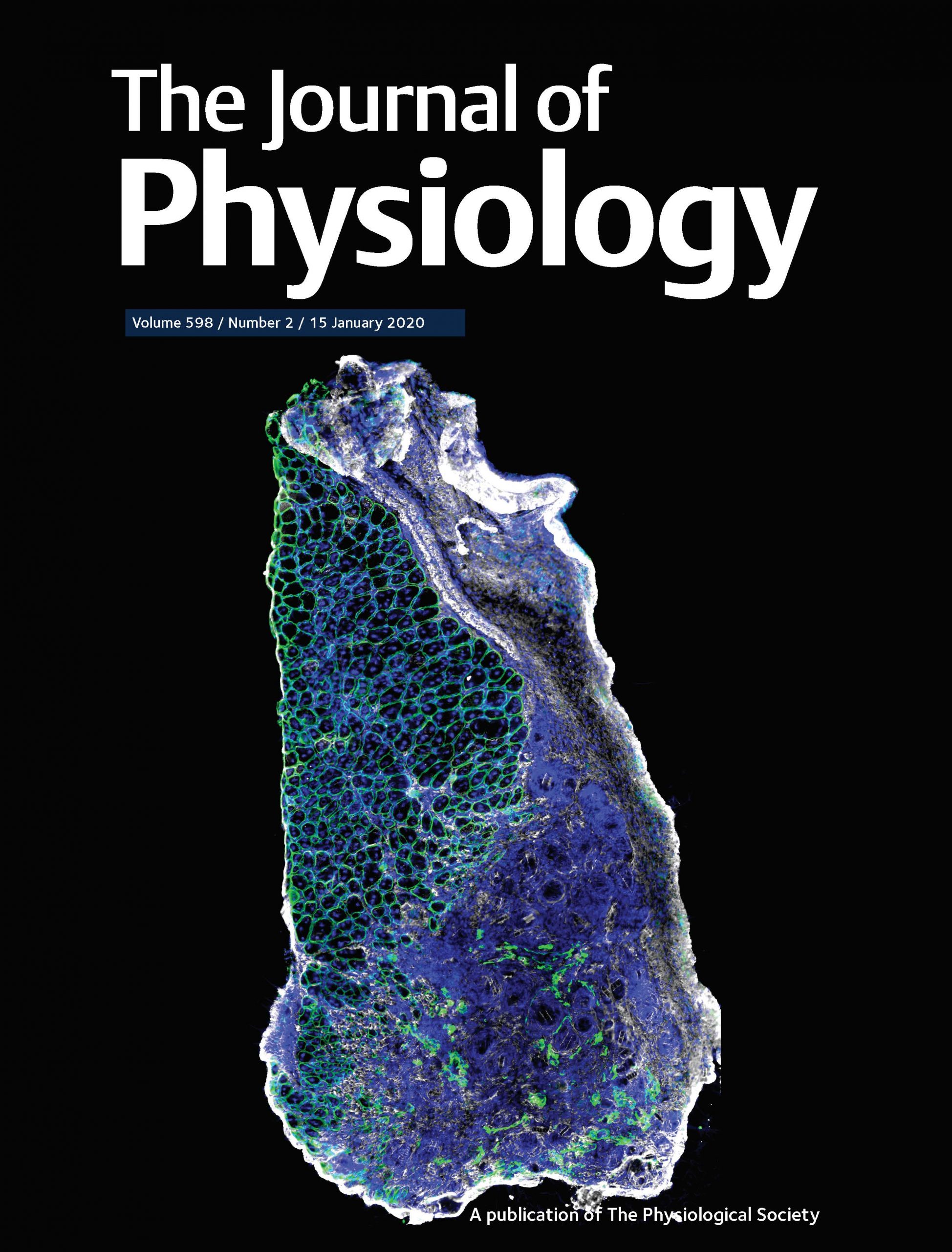2020-the_journal_of_physiology_cover